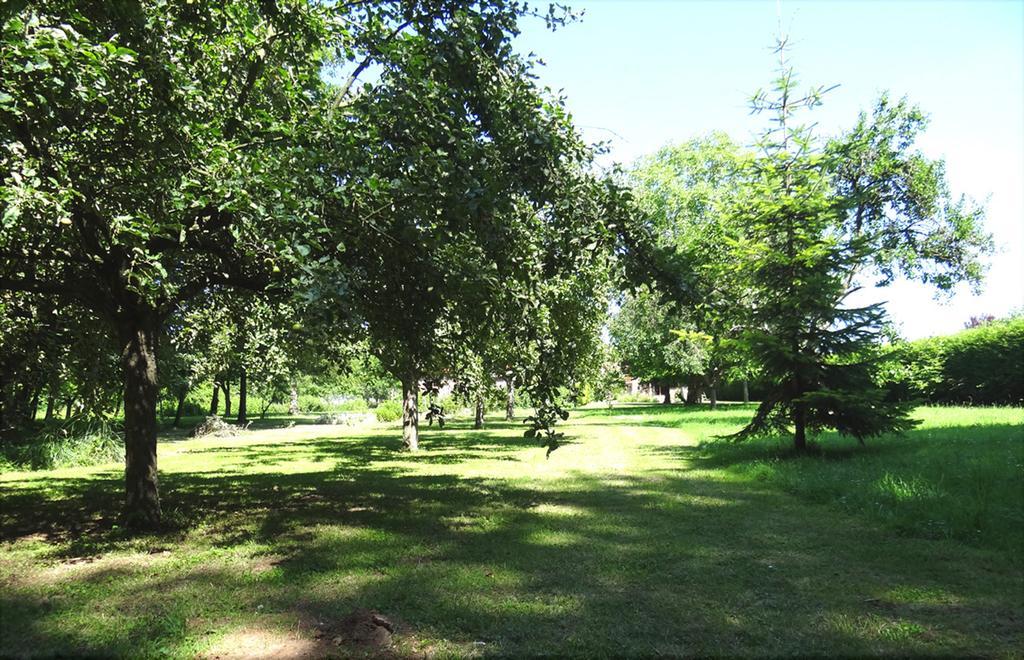 Le Chemin D'Ulphe Bed & Breakfast Boves Екстериор снимка